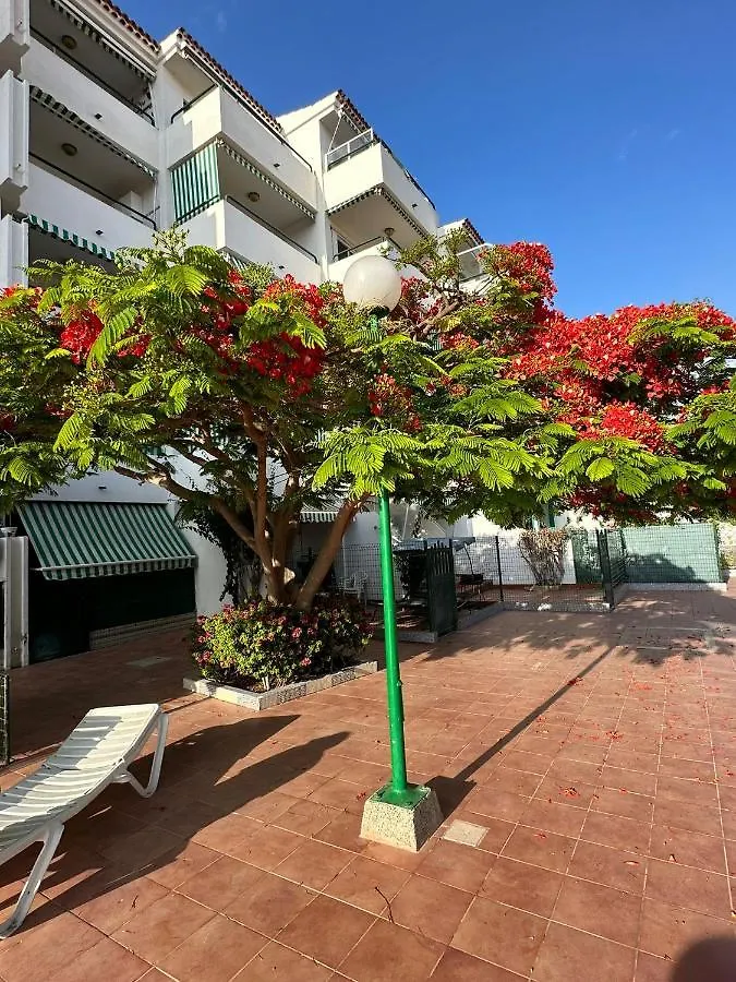 Apartamento Maspalomas San Bartolomé España